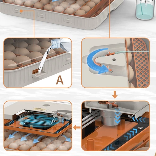 Eggs Incubator Chicken Quail Hatcher Incubators Automatic/Manual Hatching Eggs - Picture 74 of 78