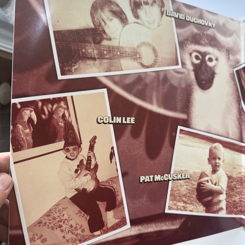 Album firmato Gestureland 2xLp David Duchovny - Raro - Nuovo con scatola! - Foto 5 di 9