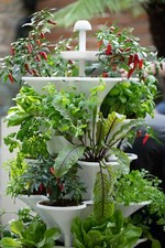 Acqua Garden - Hydroponic Vertical Growing System - Grow Your Own!