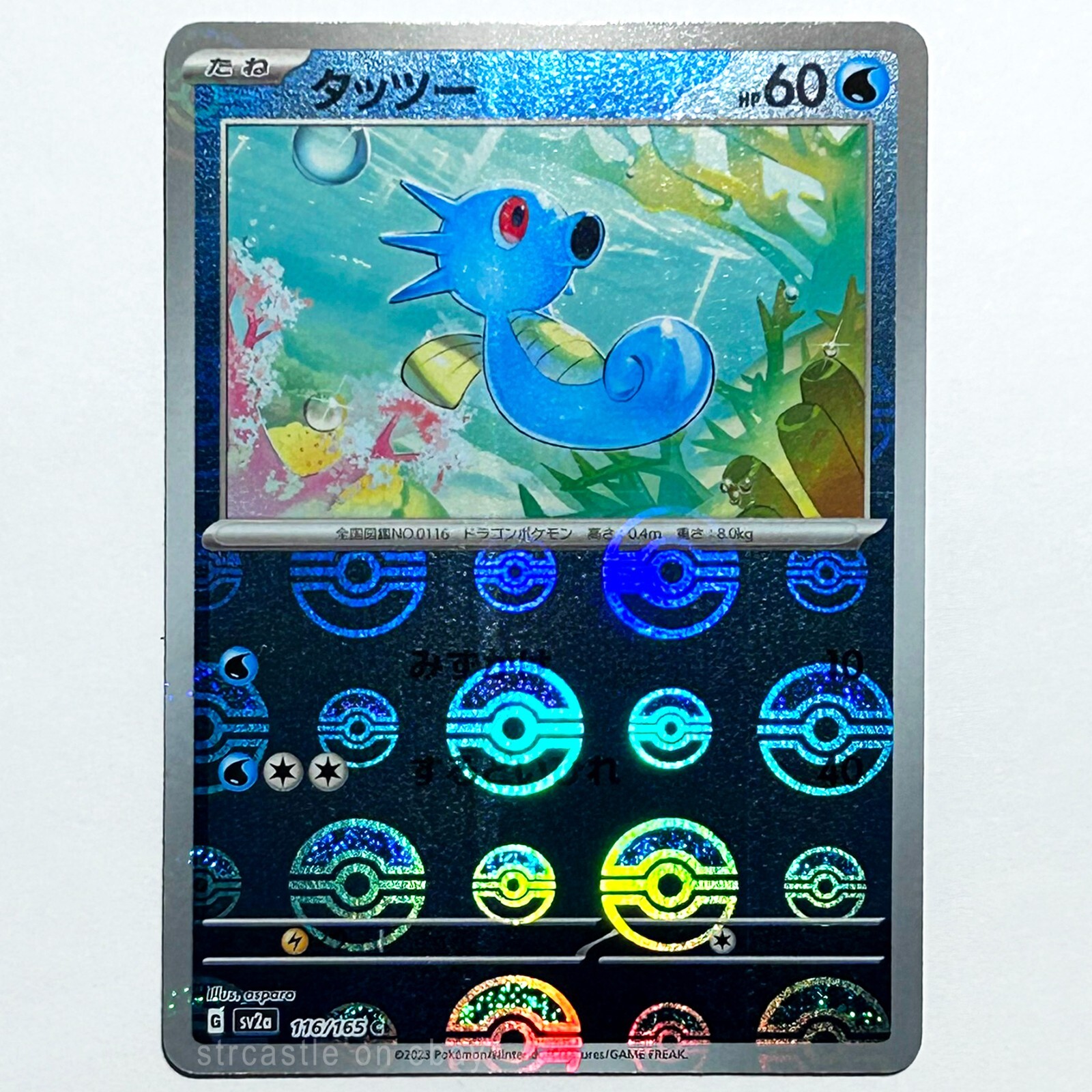 Horsea (Pokeball) 116/165 SV2A 151 Pokémon TCG (🏯JAPANESE, REVERSE HOLO, NM)