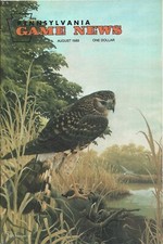 Pennsylvania Game News August 1989 cover by Tom Duran Northern Harriers Pennsylvania Game News August 1989 cover by Tom Duran Northern Harriers