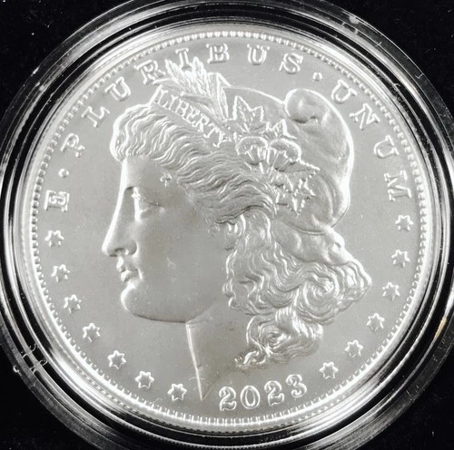 *2023 P MORGAN DOLLAR* *WITH FELT BOX AND COA* NR #P2541