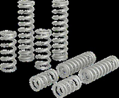 EIBACH E852120040222 Stage 2 Pro UTV Performance Spring System - For OEM Fox