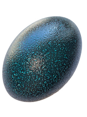 DARK EMERALD COLORED EMU EGG SHELL - NO HOLES (blown, cleaned & repaired)