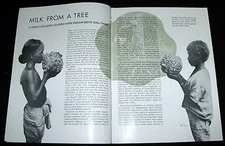 RUBBER MAKING 1937 PICTORIAL PLANTATION & PRODUCTION SOCONY-VACUUM OIL-POWER