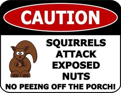 ''Caution Squirrels Attack Exposed Nuts No Peeing Off The Porch!'' 11.5 inch by 9
