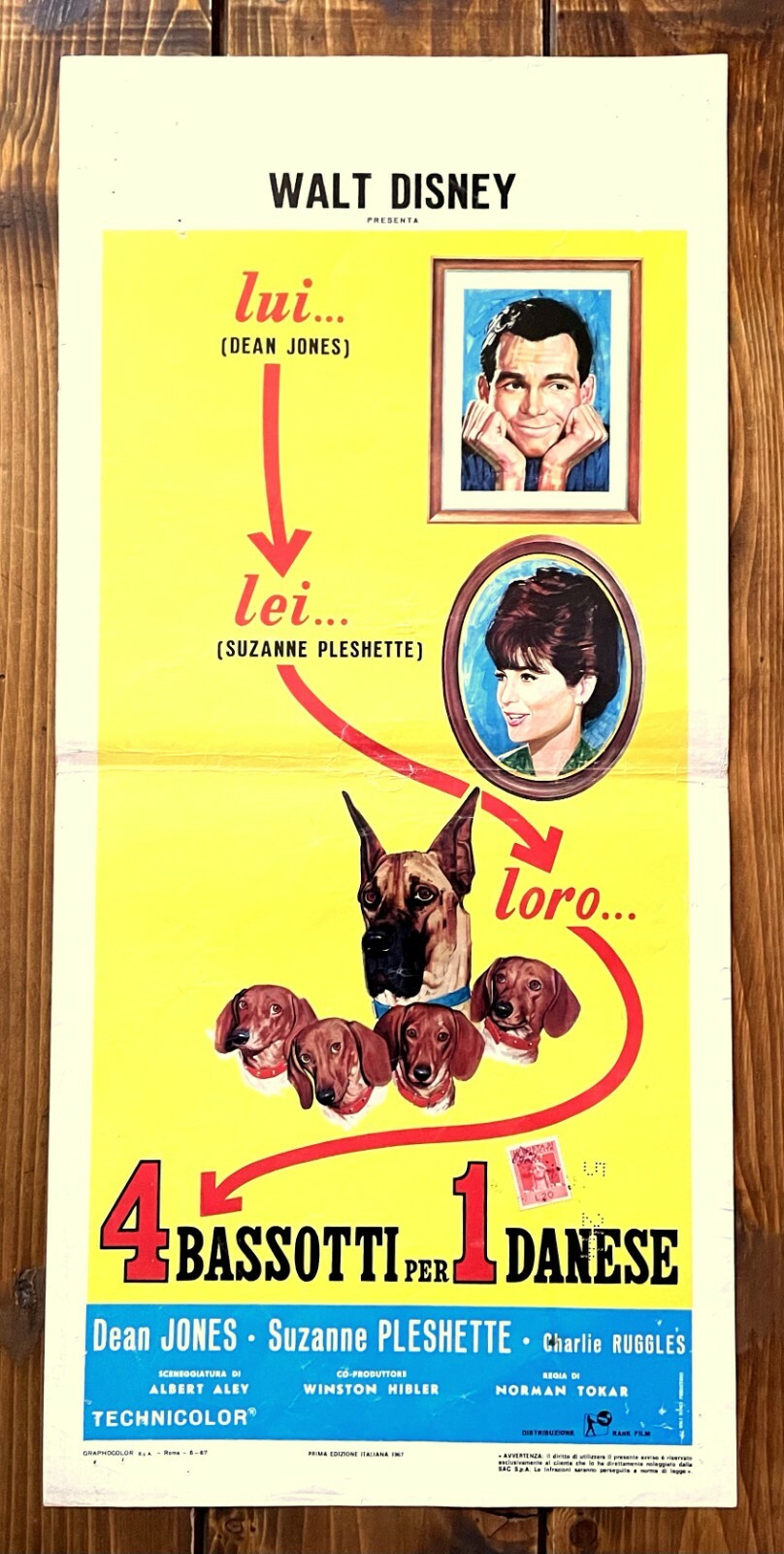 Locandina originale film 4 bassotti per 1 danese (1967) - Regia di Norman Tokar