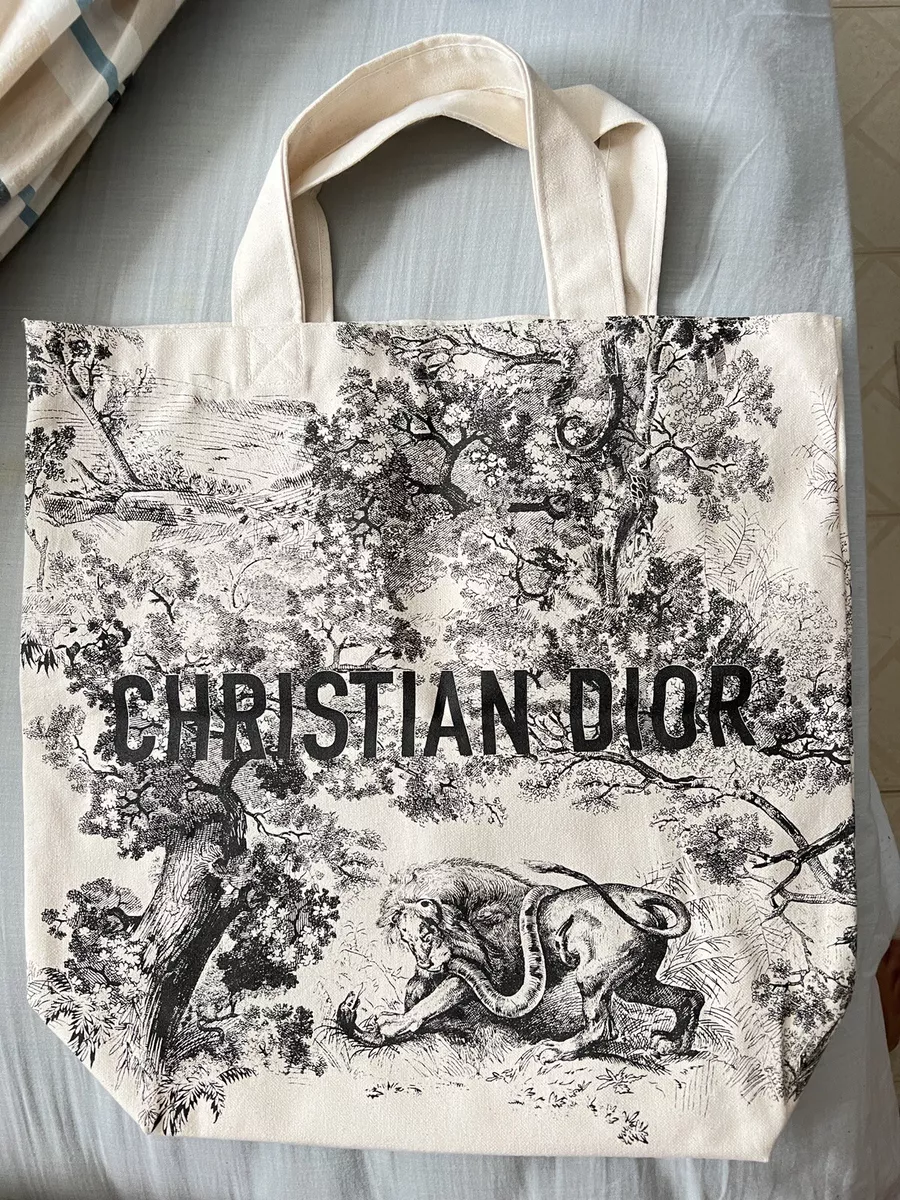 Cập nhật hơn 63 về dior cruise 2023 tote bag mới nhất  Du học Akina