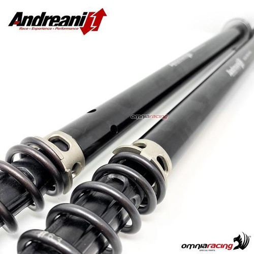 Cartouches de fourche Andreani Misano Evo pour Kawasaki ZRX1200R 2000>2006 - Photo 4/9