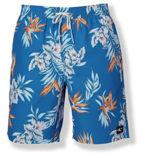 O'Neill Santa Cruz Departure Volley Board Shorts - NWT Mens Medium - 45915-N2