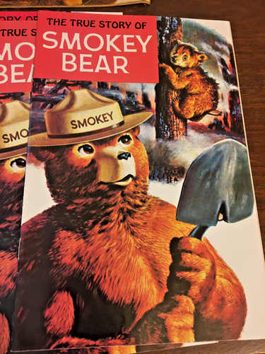 Smokey the Bear Comic Book Lot of 12 Books, 1969, 1959 - Picture 2 of 16