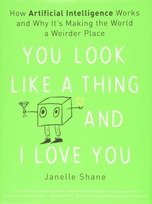 You Look Like a Thing and I Love You: How Artificial Intelligence Works and ...