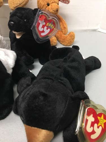 Sammy the Bear Ty Beanie Baby 1998 with ERRORS “GASPORT”. And Others As Set!!!!! - Picture 7 of 12