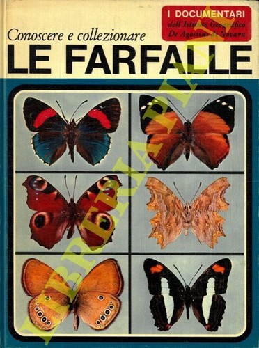 (VERWANDTE Umberto) - Schmetterlinge kennenlernen und sammeln.