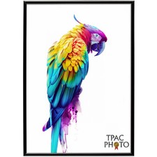 A2 A3 A4 Black Thin Picture Frames Silver Poster Frames Photo Frame Gold Frame