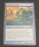 MTG Theros Triton Shorethief Common Card 70/249
