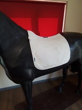 White Nuumed Griffin Hiwither Dressage Saddle Pad Size Small S CAL 2213