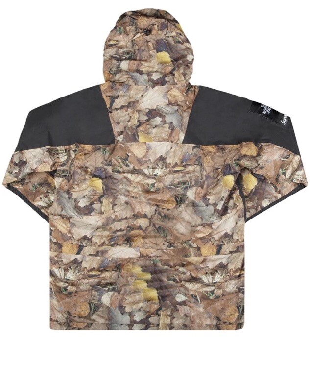 Supreme The North Face Mountain Light Jacket Size L TNF leaf Supreme The North Face Mountain Light Jacket Size L TNF leaf