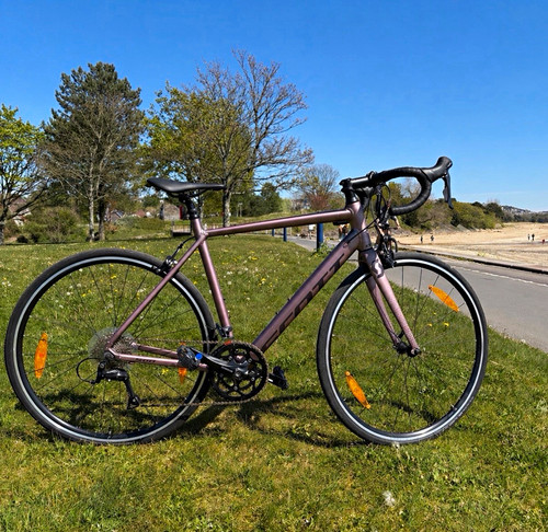 Scott Contessa