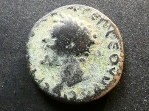 T6.7. Roman Provincial, Septimius Severus, Commagene, Samosata, AE24. - Picture 2 of 2