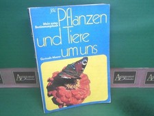 Pflanzen und Tiere um uns - Mein erstes Bestimmungsbuch. Maurer, Gertrude: