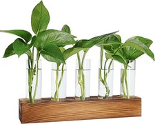 Wooden Plant Propagation Station  5 Glass Tube Terrarium for Hydroponics