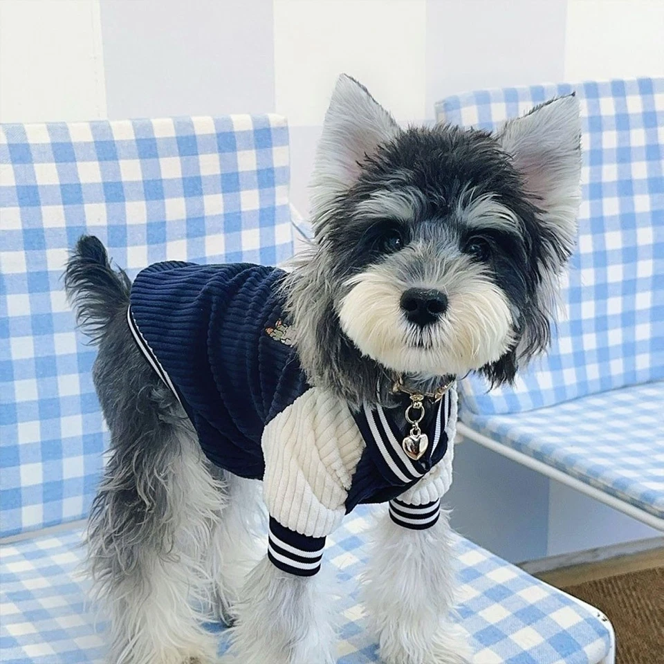 Ropa para perros mascotas invierno informal cálido abrigo de béisbol ropa cachorro perros chaquetas Foto 3 de 4