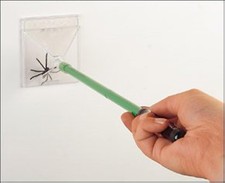 Katcha Daddy Longlegs Crane Fly Catcher - UK's Number 1 Spider And Bug Catcher T