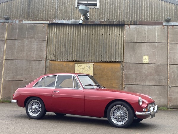 Image Placeholders2_edited.jpg