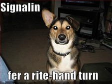 german Shepherd refrigerator magnet 21/2 x 3 1/4