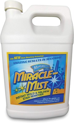 Instant Mold and Mildew Stain Remover for Indoor 1 Count (Pack of 1) 