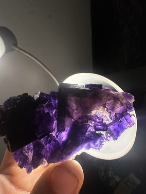 Large Purple Cubic Fluorite Cluster With Phantoms From Minerva 1 Mine Illinois!
