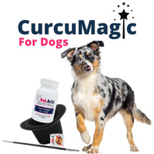 Curcumin Natural Anti-Inflammatory Supplement Turmeric For Dogs With Cancer