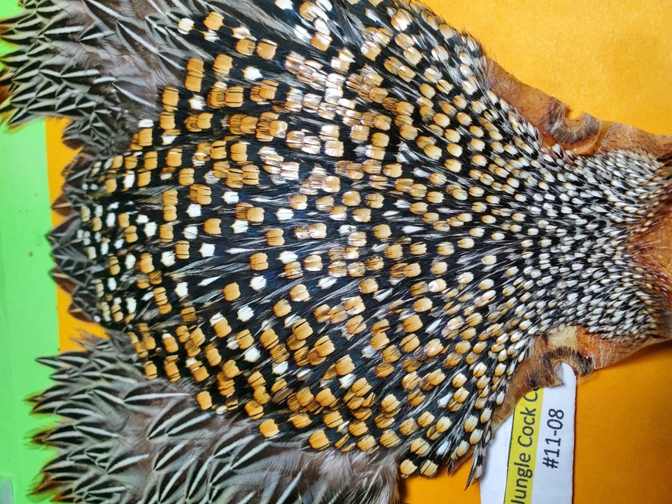 Capa Jungle Cock SUPER AAA 11-08 EE. UU. Solo  Foto 3 de 4