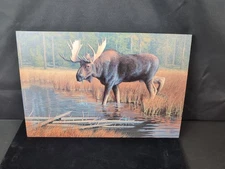 Wildlife Bull Moose Painting Print On Canvas Woods Swamp 18"X12.5"