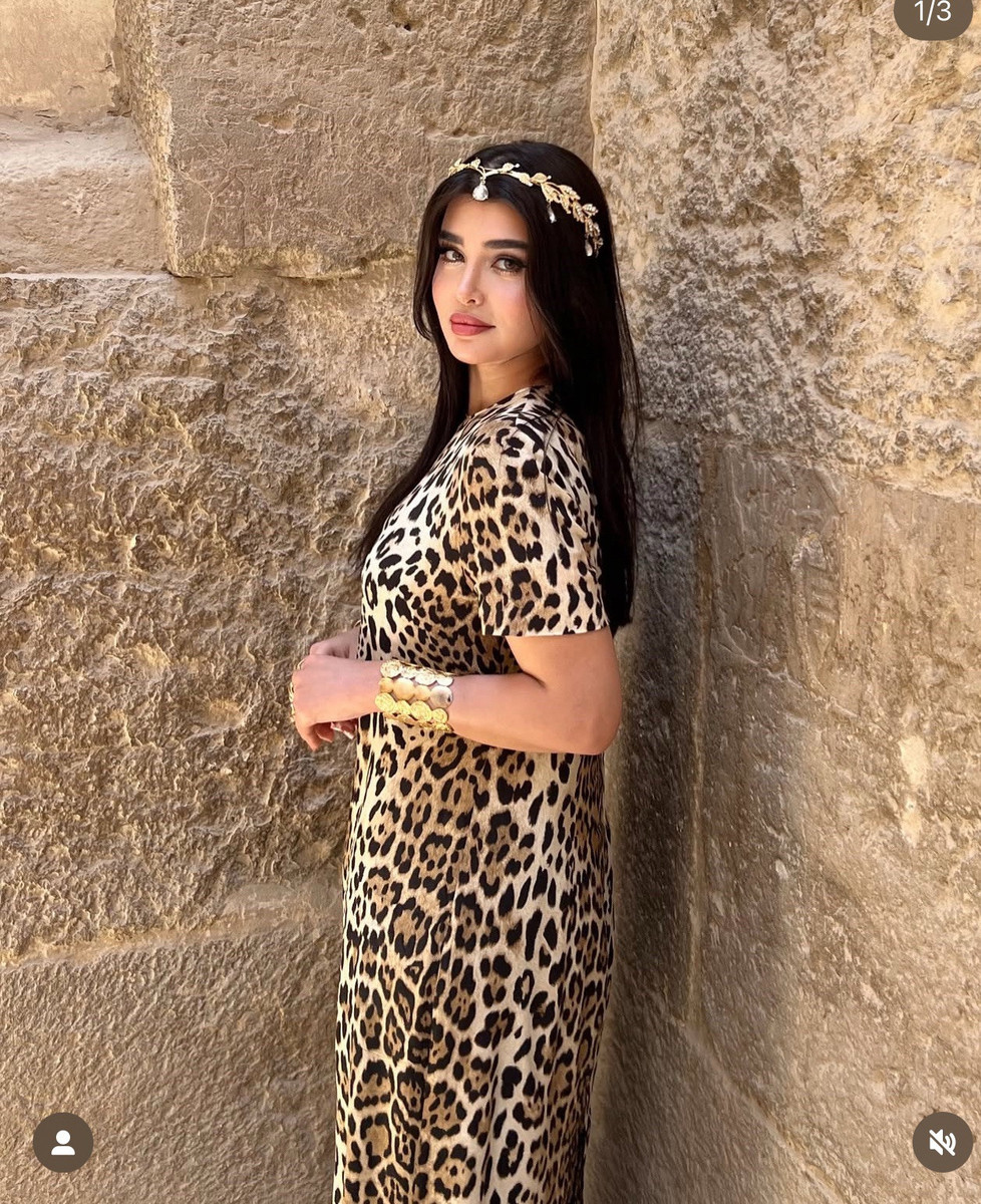 NWT ZARA FW24 ANIMAL PRINT DRESS ZW COLLECTION LEOPARD 8252 NWT ZARA FW24 ANIMAL PRINT DRESS ZW COLLECTION LEOPARD 8252