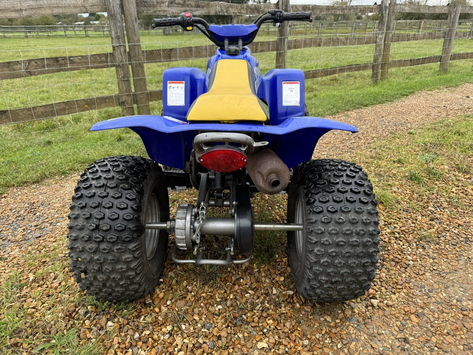 Quadzilla R100 Ram Quad Bikes eBay