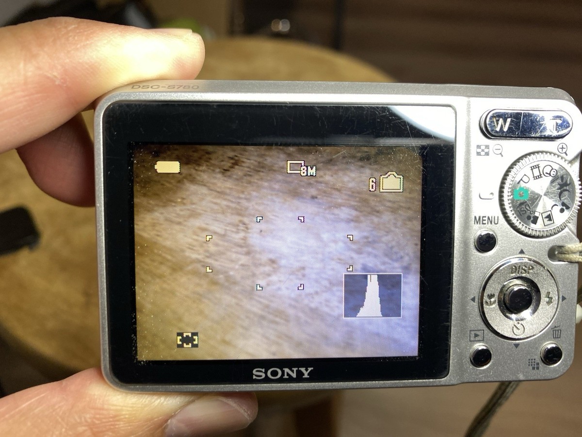 Sony Cyber-shot DSC-S780 8.1MP Digital Camera Zoom Tested NO