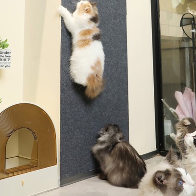 Cat Scratching Mat Cat Grinding Claws Floor Mat Clipart Cat Amusing Artifact _cn