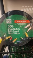 Home Holiday Accents 300 Warm White to Multi Colored Mini LED Lights