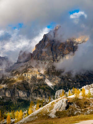 Tofana di Rozes and Larch Trees Dolomites, Italy by Orah Moore Photo Print 20x26