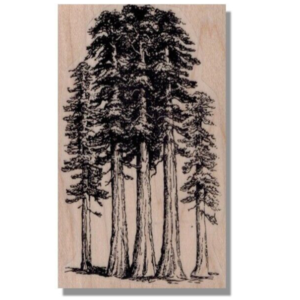 REDWOOD TREES Mounted Rubber Stamp Woods Nature Tree Stamp Forest Leaves