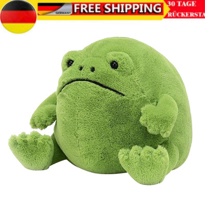 2025 NEU Ricky Rain Frosch Plüschtier Grün Grumpy Frog Soft Doll Kinder Geschenk