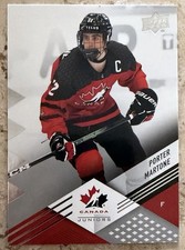 2013 Upper Deck National Hockey Card Details 14