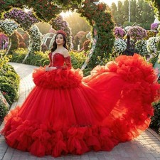 Gorgeous Sweetheart Quinceanera Dress Appliques Lace Up Sweet 15 Tulle Ball Gown