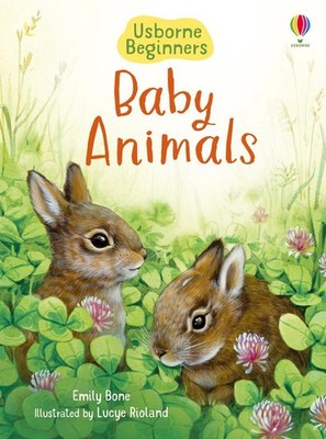 Baby Animals (Usborne Beginners) by Emily Bone Paperback Book
