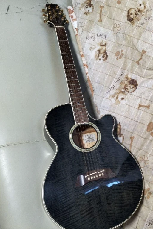 Takamine ACCUR EQ Acoustic Guitar with Case | eBay