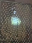Spirit Halloween Fenced In Hi-Voltage Zombie retired Animatronic NO SOUND — photo 6