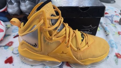 Nike LeBron 19 EP Hard Hat