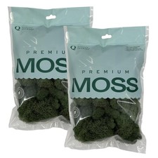 Quality Growers Reindeer Moss, Preserved Moss, Basil, Small 2-Pack Preserve...